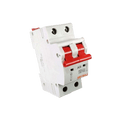 Rayvolt Isolator switch 63amp Double Pole 240-50Hz (Ref. No. MOTO1163)