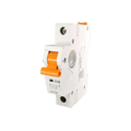 RayVolt SP MCB 10 Amp (Ref. No. RAY8010)