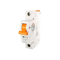 RayVolt MCB 20A C Series 240 - 50Hz (Ref. No. RAY8020)