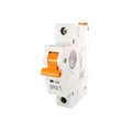 RayVolt SP MCB 16 Amp (Ref. No. RAY8016)