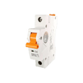 RayVolt SP MCB 6 Amp (Ref. No. MW8006)
