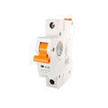 RayVolt MCB 32A C Series 240 - 50Hz (Ref. No. RAY8032)