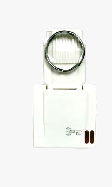 GREATWHITE FIANA 32A DP Key Tag Switch (Ref no-20301WH)